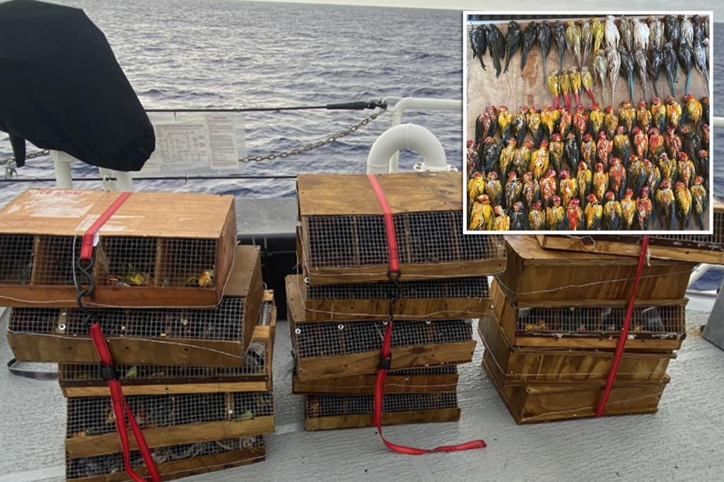 Migrants charged with smuggling exotic birds to US soil, drowning them