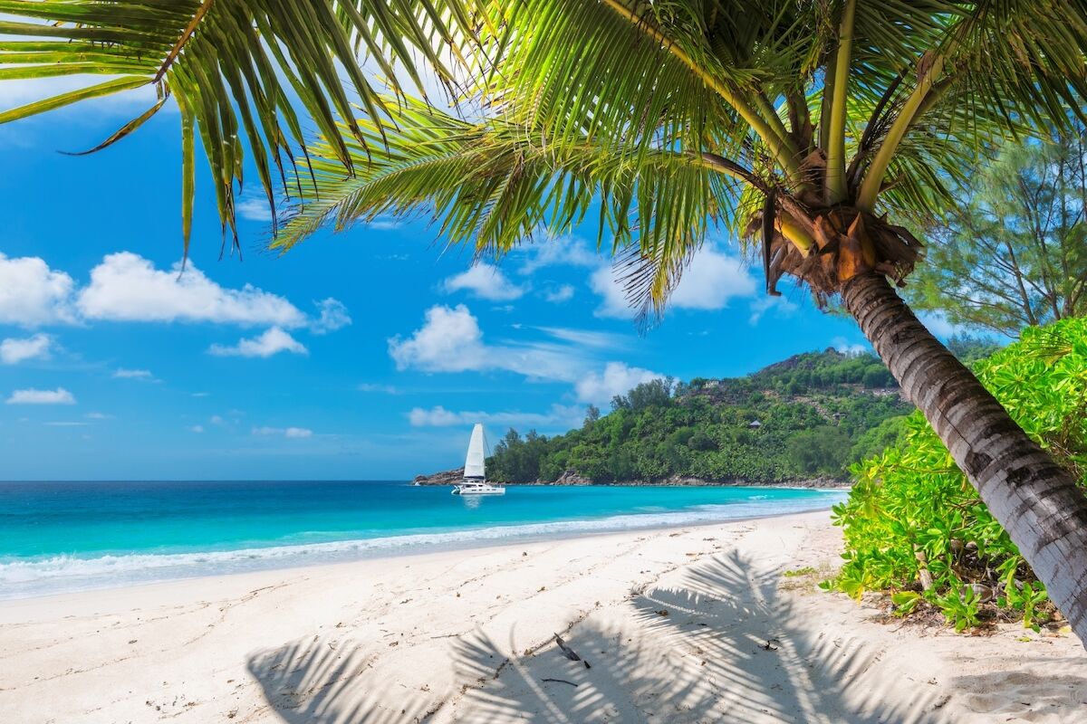 New American Airlines Routes Will Take You Directly to the Caribbean This Winter