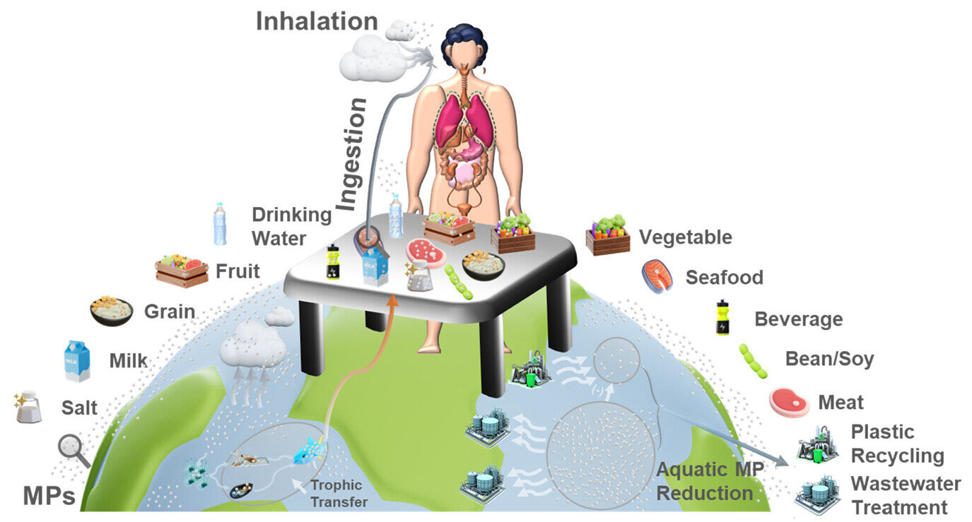 Study maps human uptake of microplastics across 109 countries