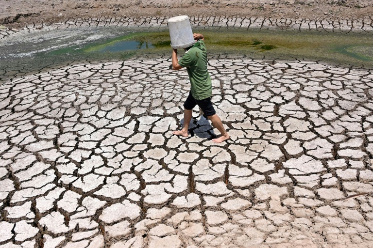 Climate change caused 26 extra days of extreme heat in last year: report