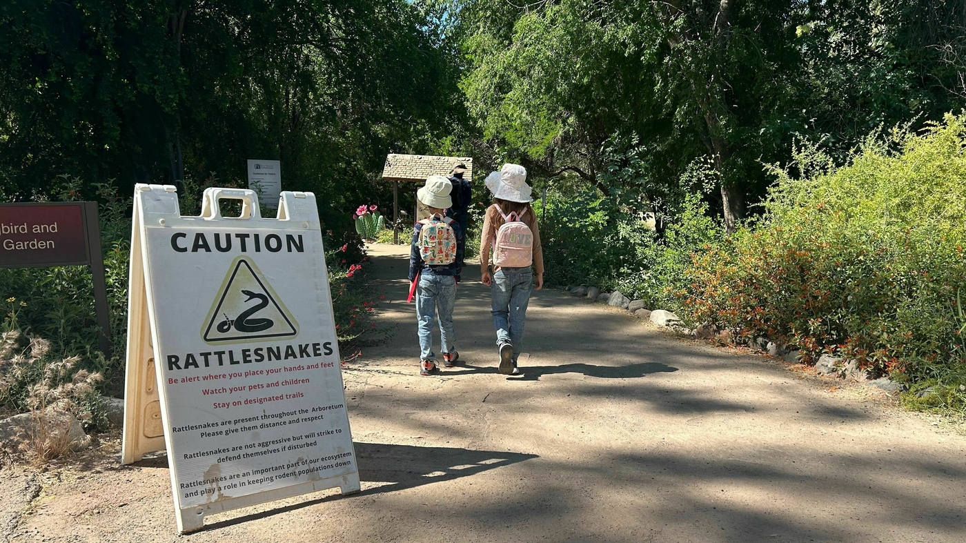 Lessons from rattlesnake class in the American Southwest