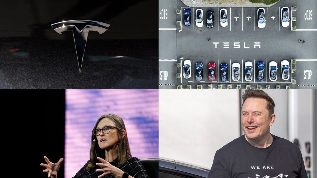 Elon Musk wins, Tesla stock's $2,600 future, and waiting for robotaxis: The most popular tech stories