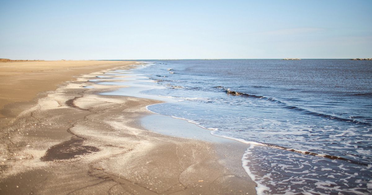 Gulf of Mexico Dead Zone