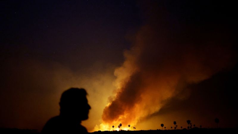 Fires in Brazil’s Pantanal wetland break June record