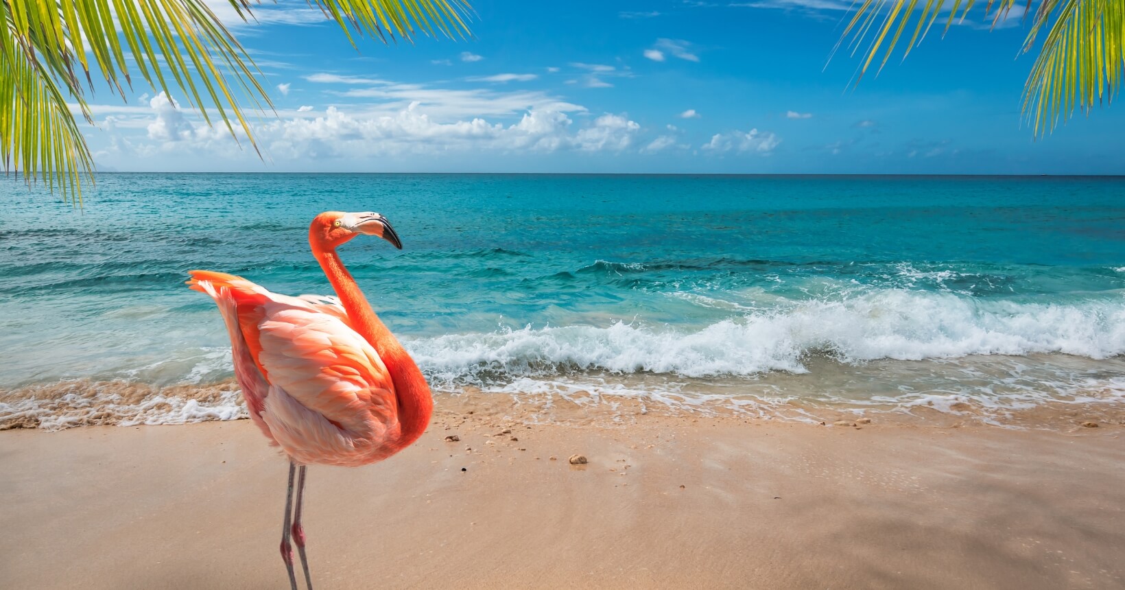 Caribe com a GOL! Voos diretos para Aruba ou Costa Rica a partir de R$ 2.374