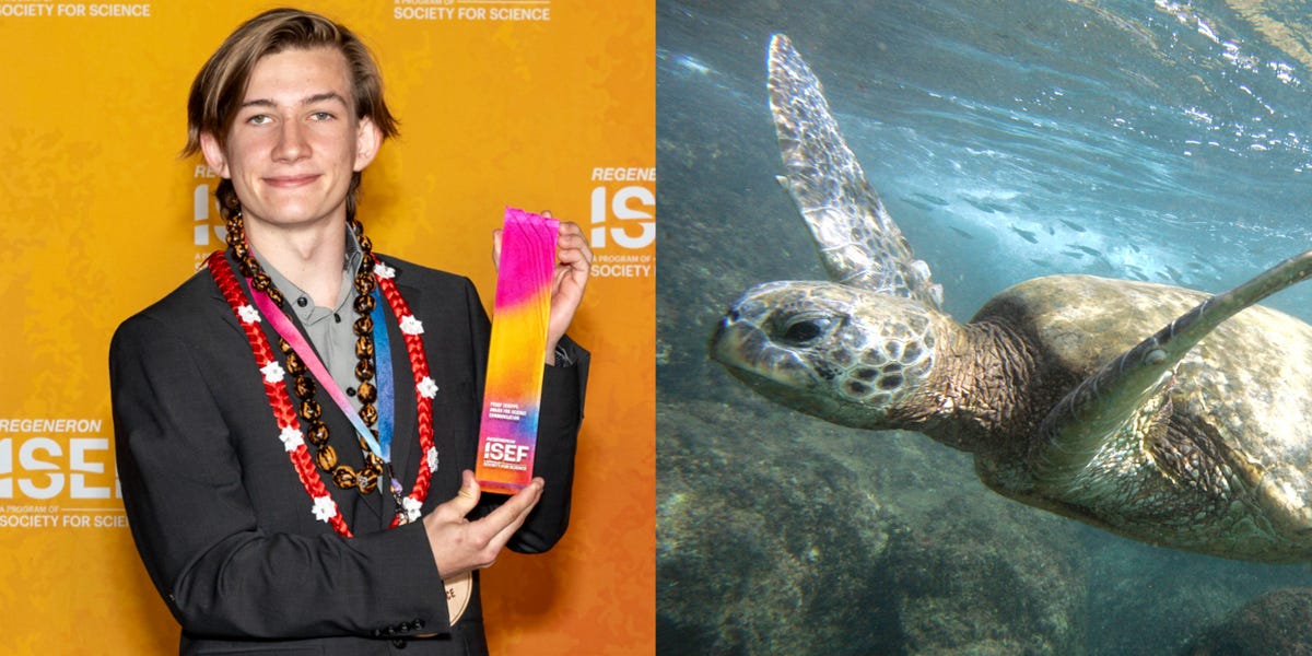 This high schooler won $10,000 because he saw a mysterious outbreak killing sea turtles in his Hawaii hometown and decided to do something about it