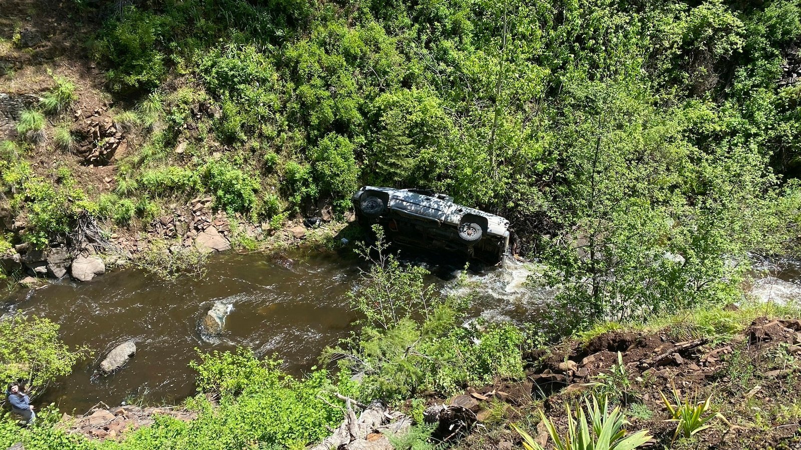 A dog helped his owner get rescued after a car crash in a remote, steep ravine