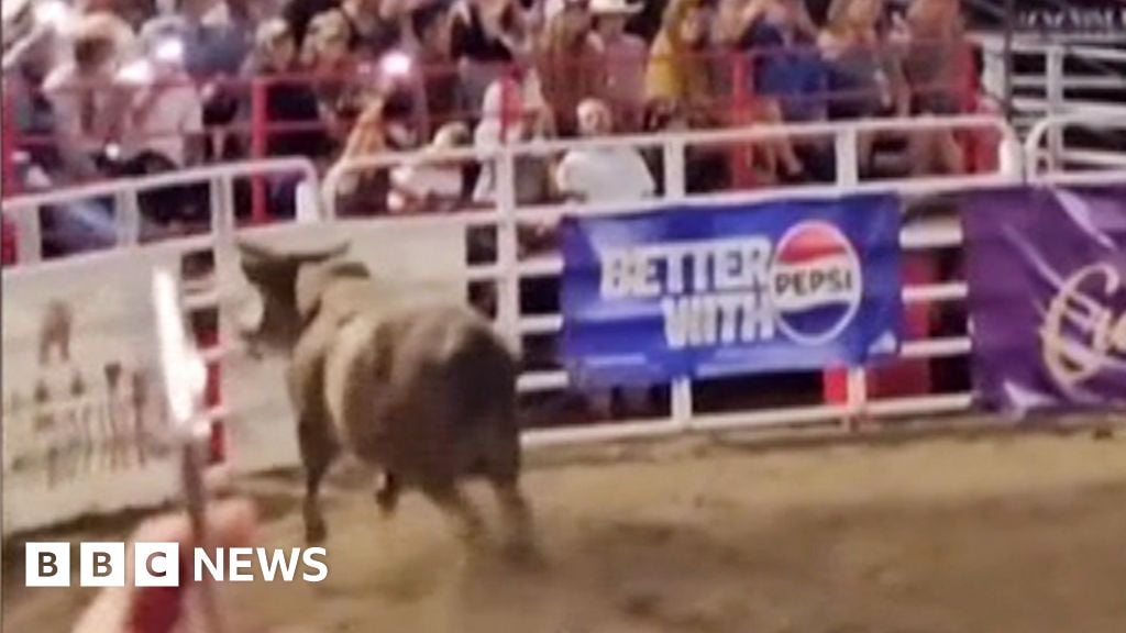 Watch: Moment rodeo bull hops arena fence and shocks crowd