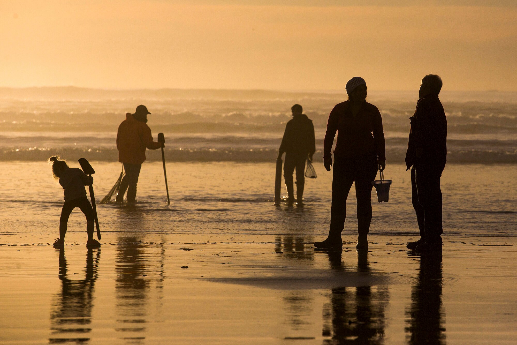 Oregon officials close entire coast to mussel harvesting due to shellfish poisoning