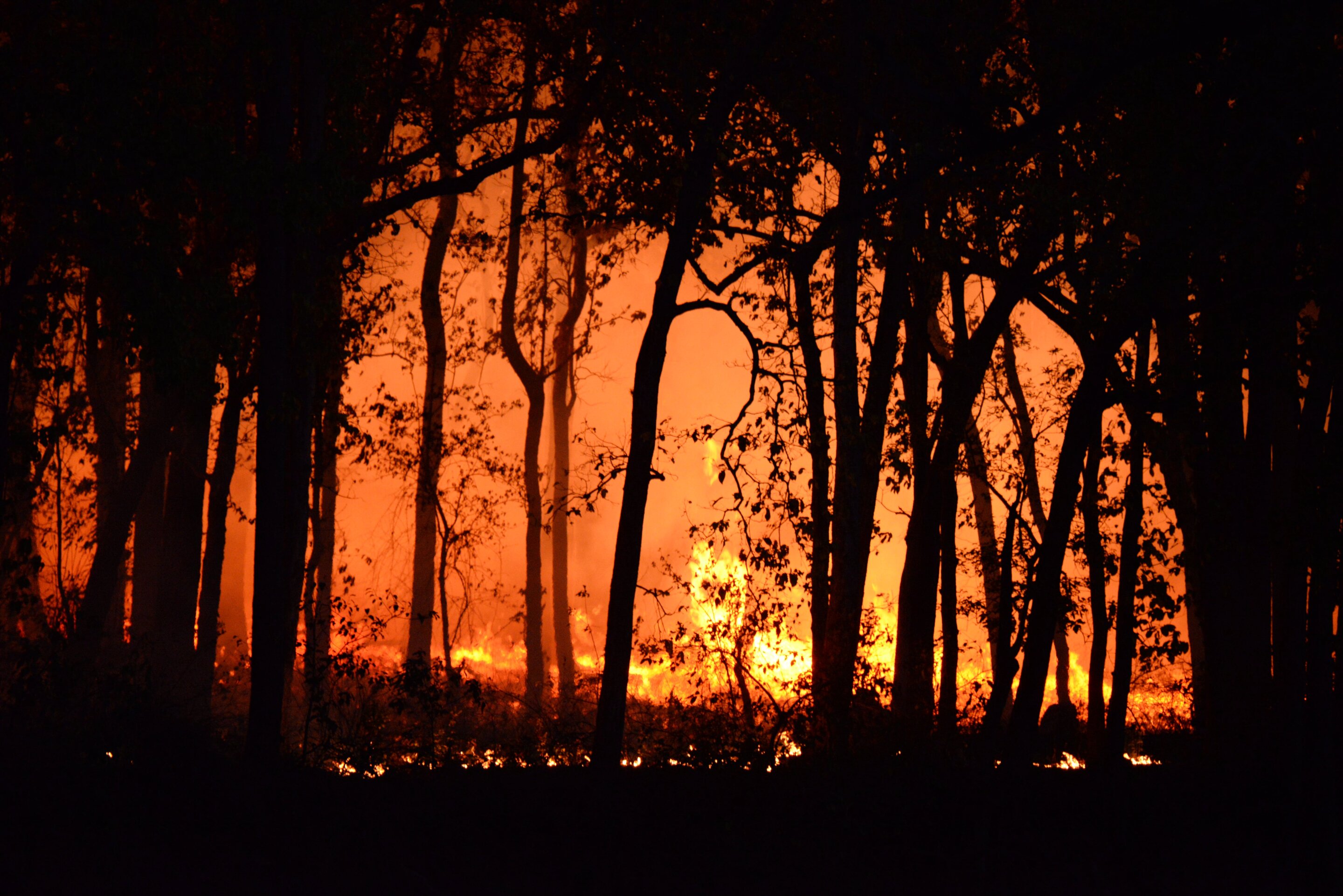 Public more confident connecting increasing heat, wildfires with climate change, study finds