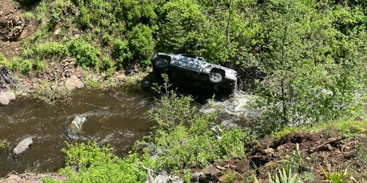 Wagen stürzt in tiefe Schlucht - Mann hat schweren Autounfall - Hund läuft sechs Kilometer, um Hilfe zu holen