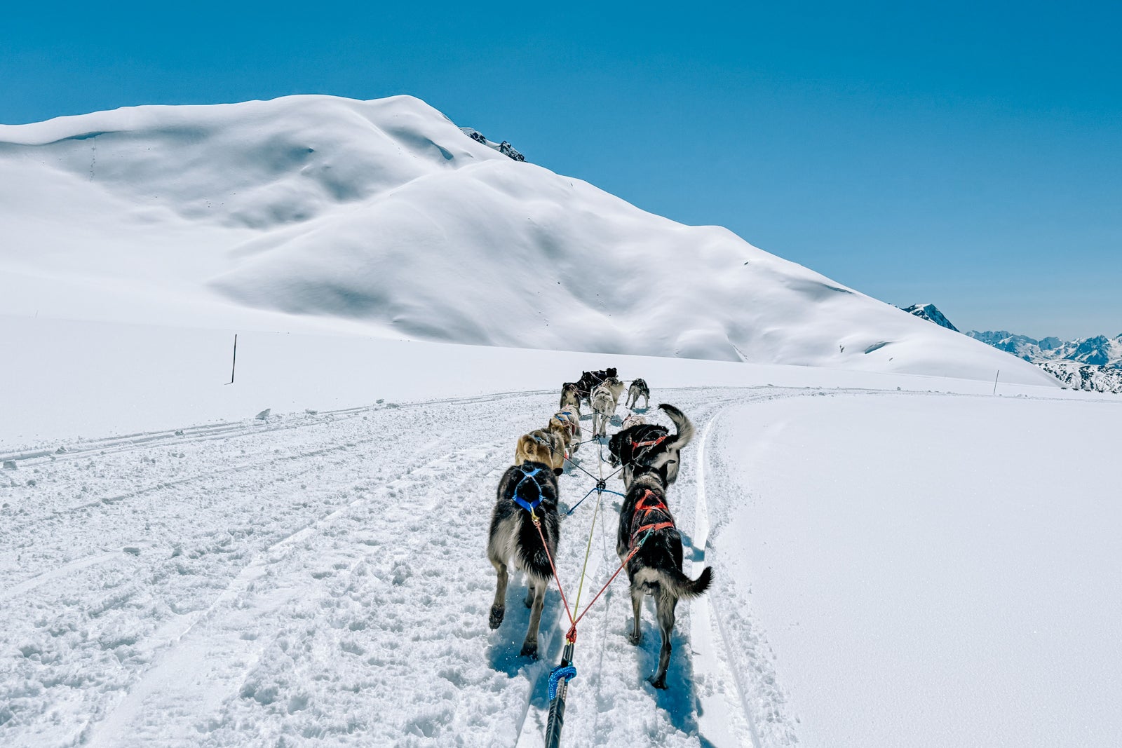 I took a $900 dog sledding and helicopter excursion on my Alaska cruise. Was it worth it?