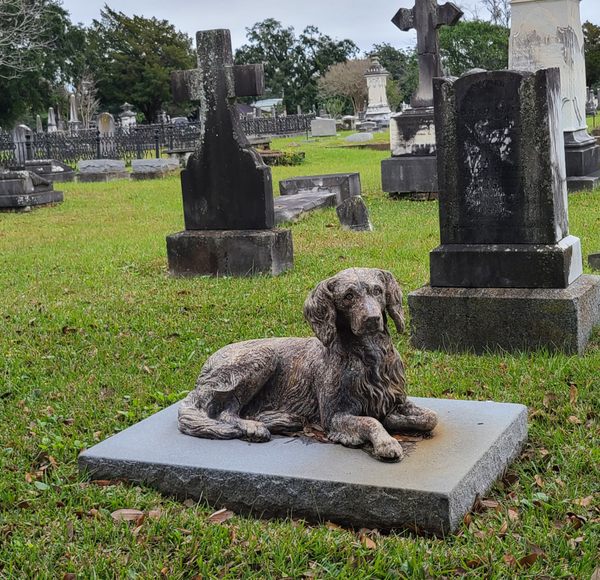 Nott Family Plott in Mobile, Alabama