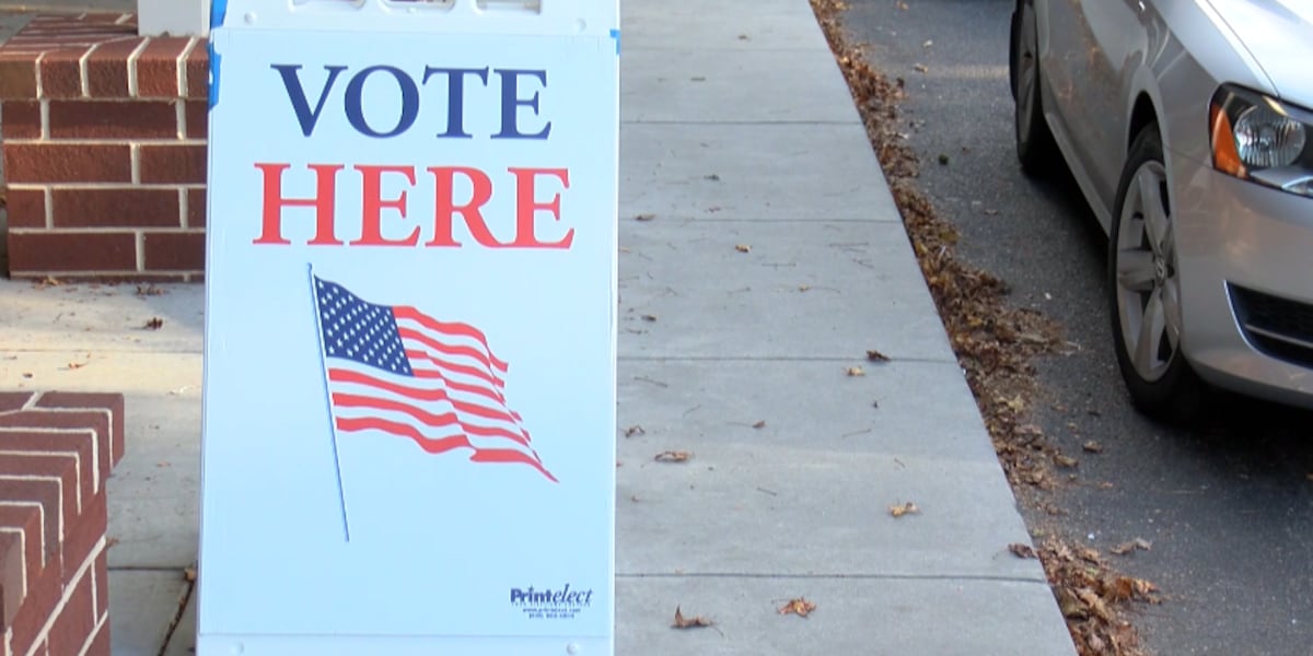 Who’s eligible, ways to vote: What SC voters need to know about upcoming runoffs
