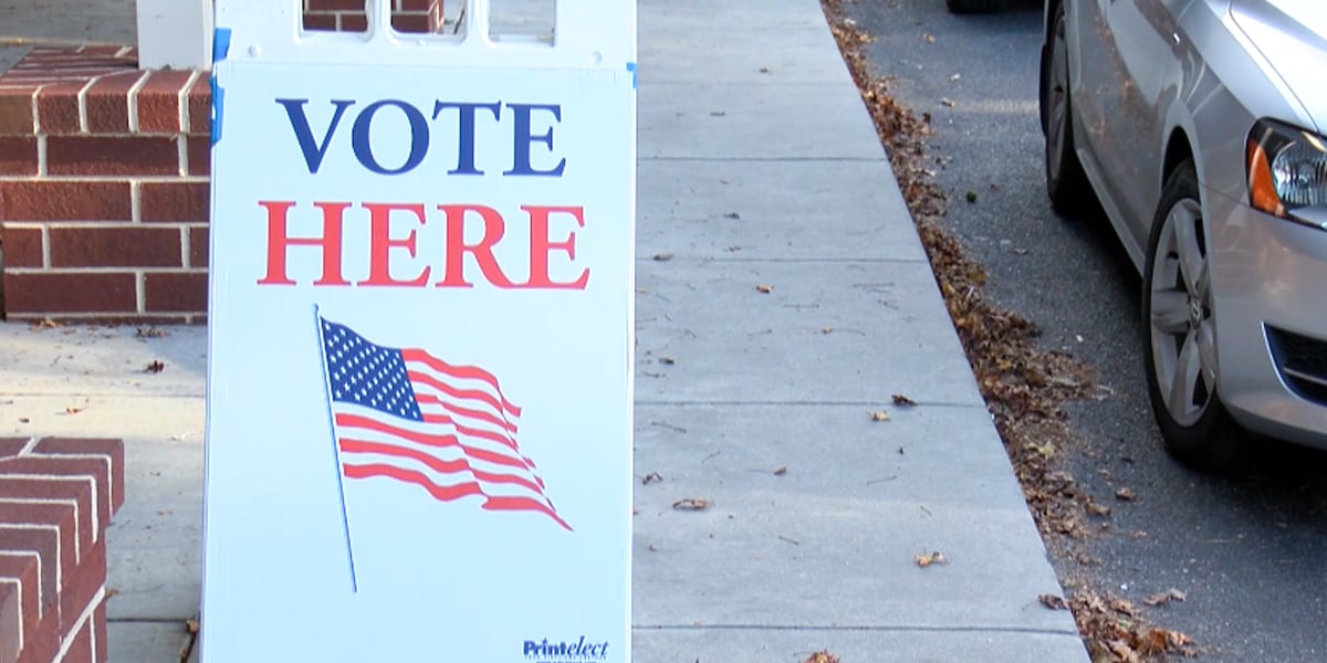Who’s eligible, ways to vote: What SC voters need to know about upcoming runoffs