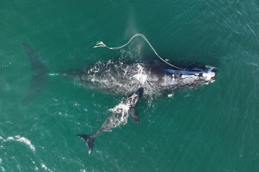 Want Your Community To Take Action On Ambitious Climate Goals? Follow What Maine Does