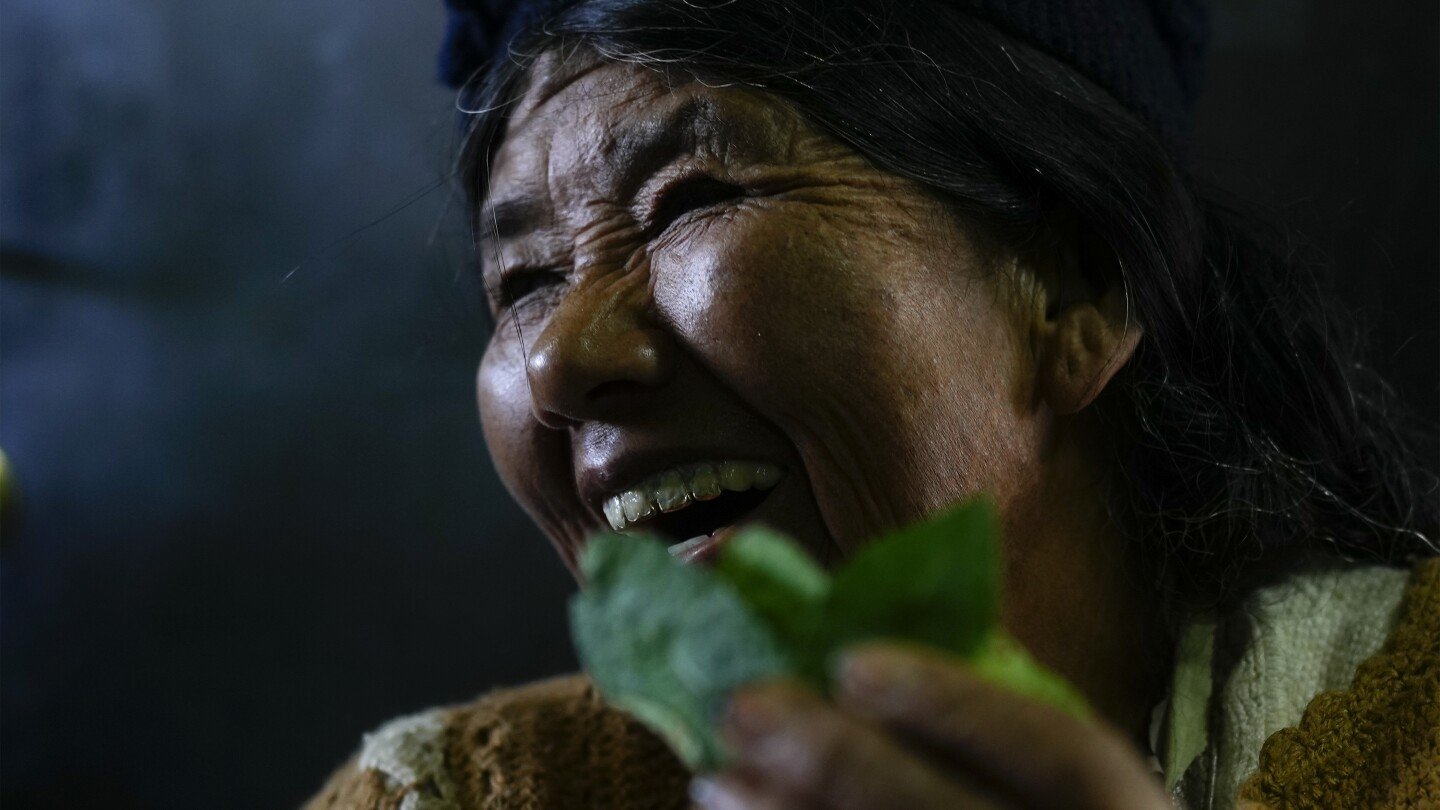 A brew of ancient coca is Bolivia's buzzy new beer. But it's unclear if the world will buy in