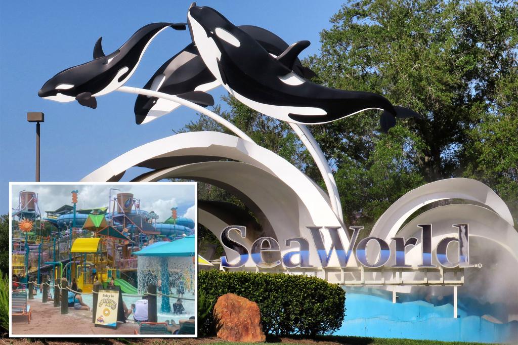 Florida woman sues SeaWorld after 'violently' colliding on a water slide with someone