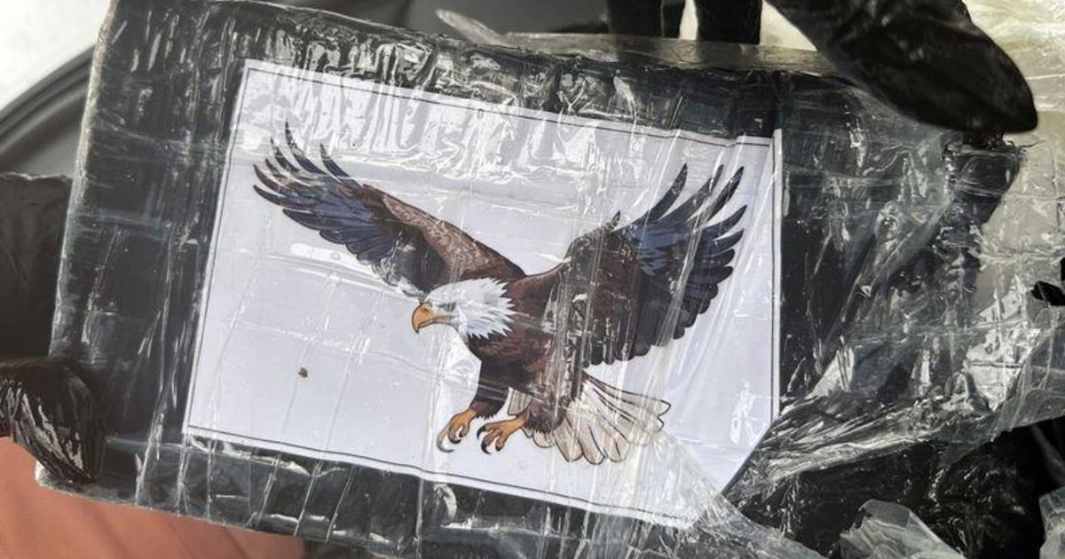 Boaters find over $1 million of cocaine - packaged with bald eagle designs - floating at sea off Florida Keys