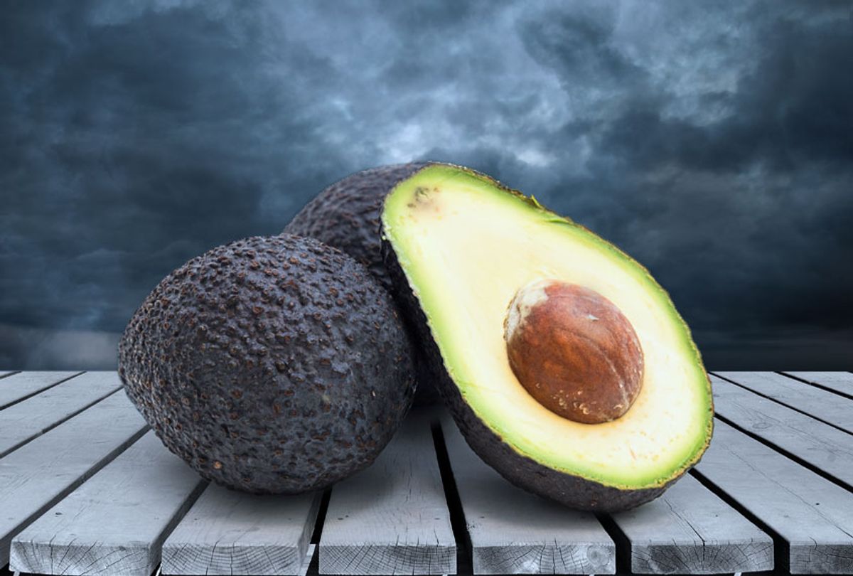 US temporarily halts avocado and mango inspections in Mexico due to security concerns