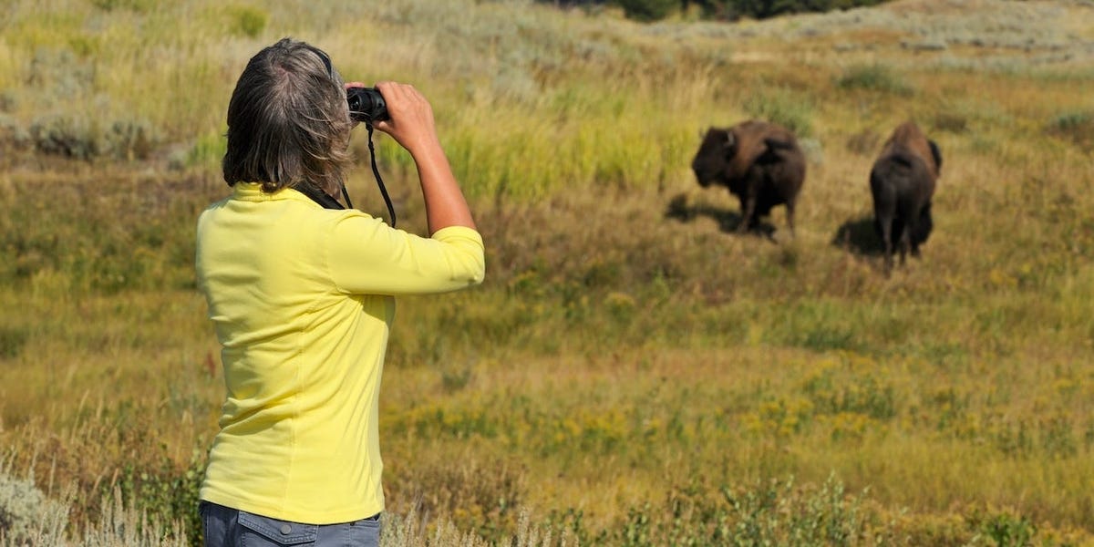 Every time tourists misbehaved in national parks this year — so far