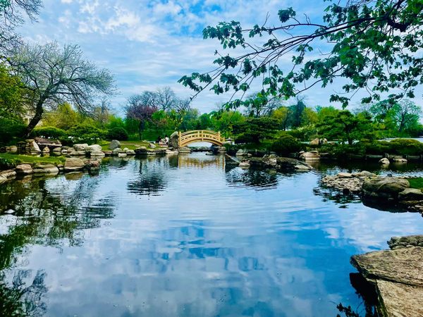 Garden of the Phoenix in Chicago, Illinois