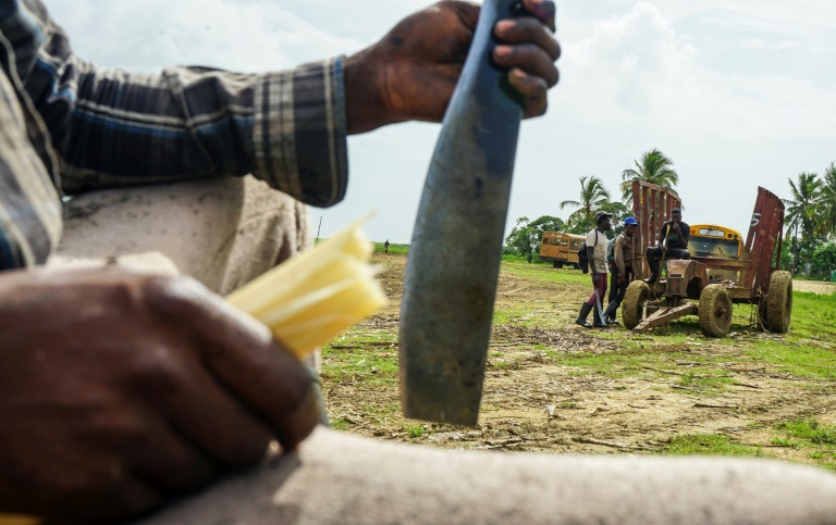 Dying for a pension: Haitian workers forsaken in Dominican Republic