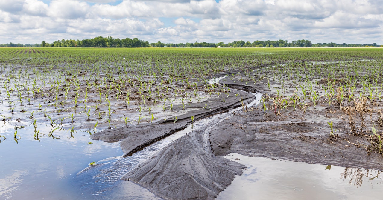 Everything’s About to Get a Hell of a Lot More Expensive Due to Climate Change