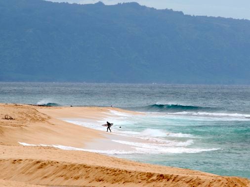 Hawaii lifeguard dies in shark attack while surfing off Oahu