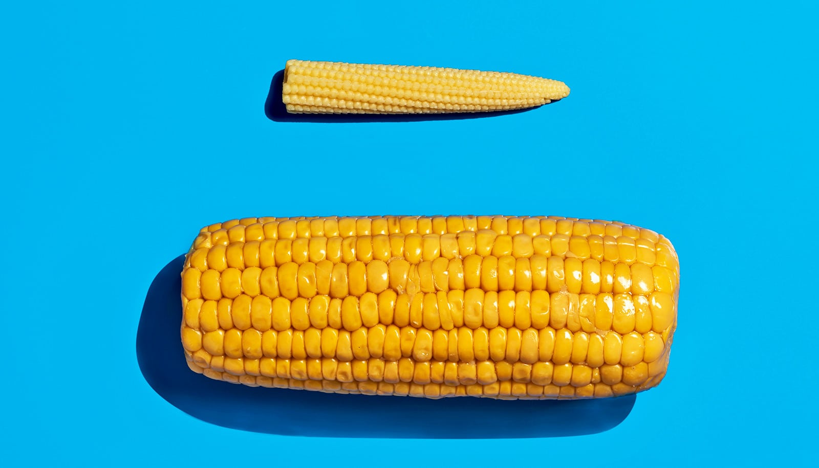 Gene discovery could lead to resilient ‘pixie’ corn