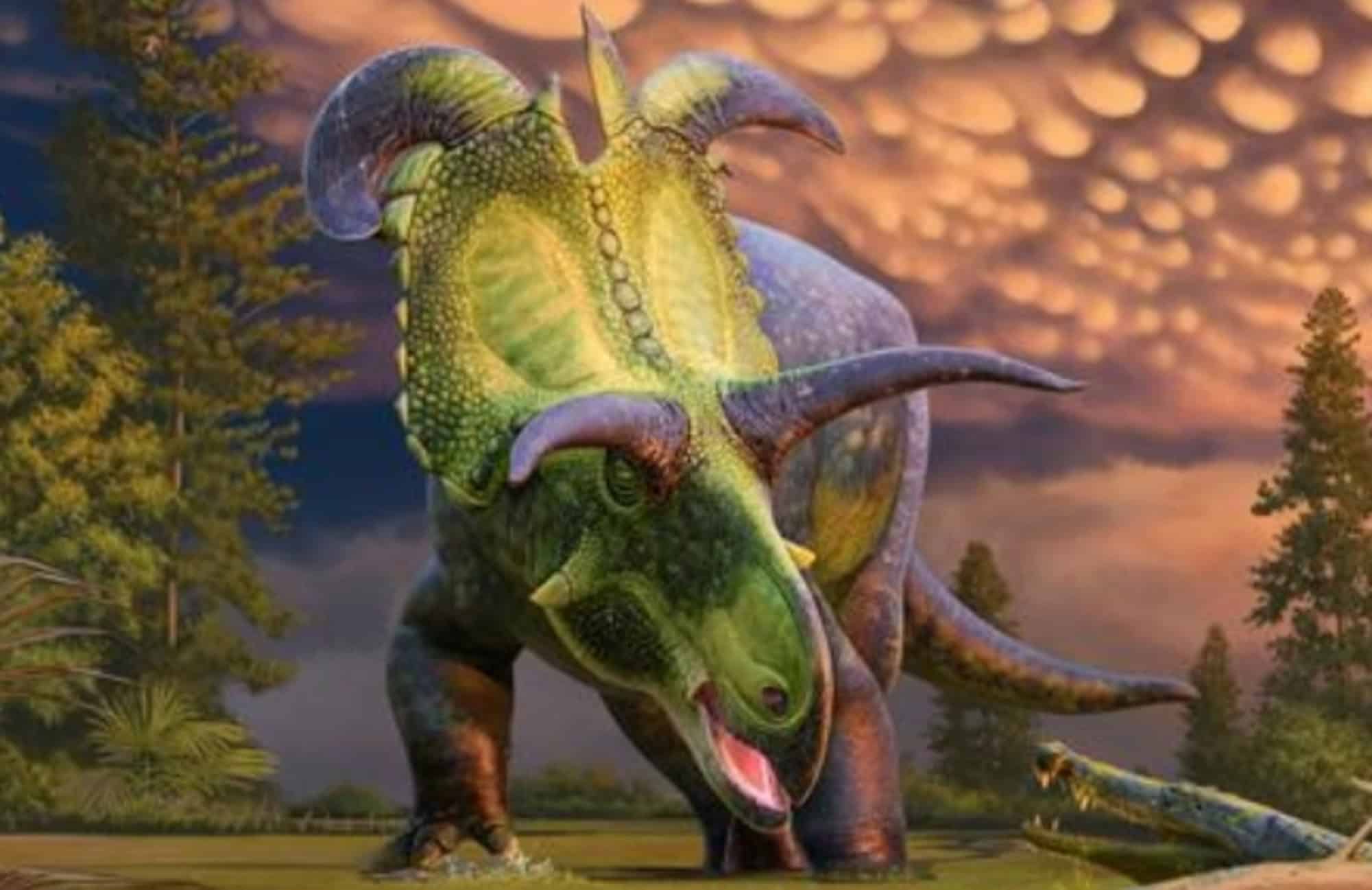 Nova espécie de dinossauro tem os maiores chifres que você já viu