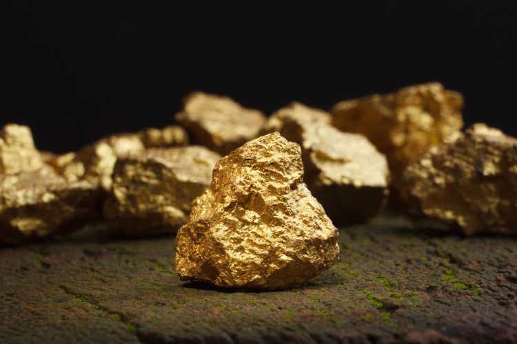 Gold Fields falls as rare chinchillas could threaten Salares Norte mine license