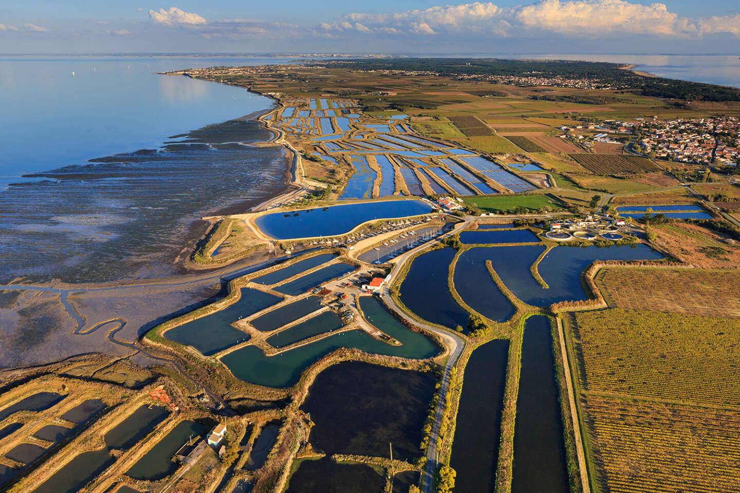 A l’île de Ré, le massacre oublié des troupes de Buckingham