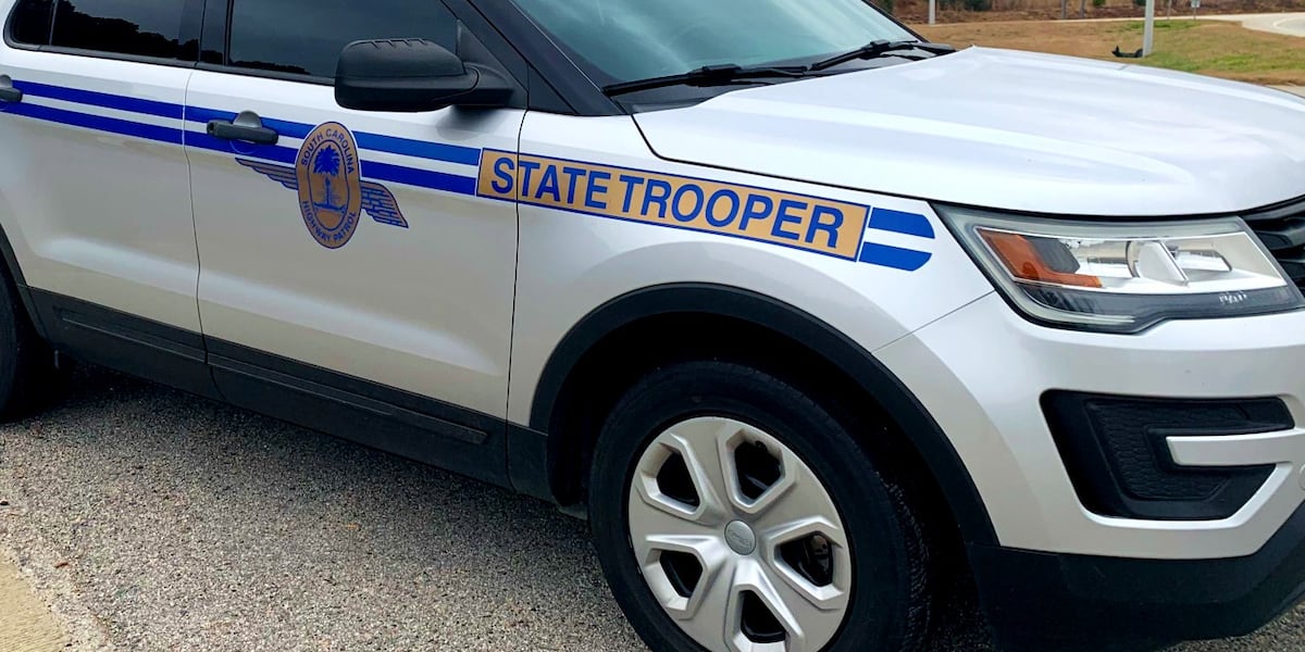 Troopers: 1 dead in Hampton Co. crash