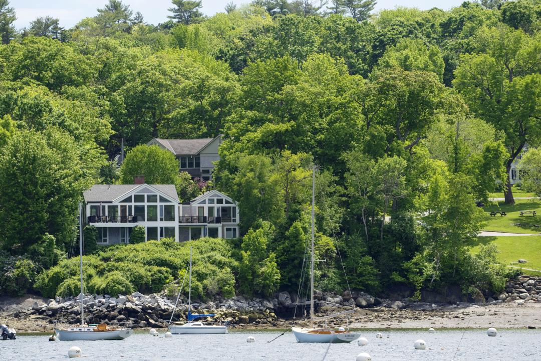 Widow of Late LL Bean Chief Says Her Trees Were Poisoned