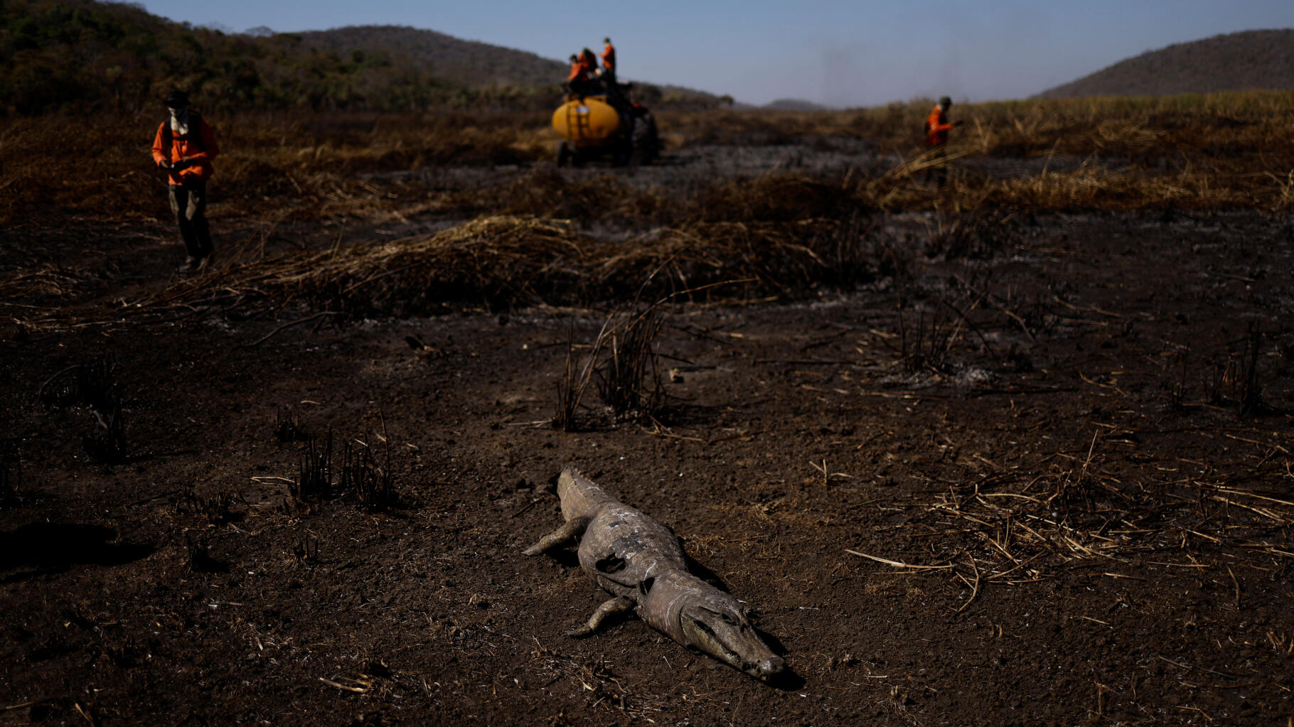 Au Brésil, des incendies hors normes brûlent la plus grande zone humide du monde