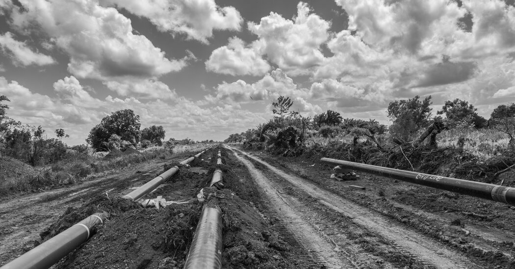 Is Guyana’s Oil a Blessing or a Curse?