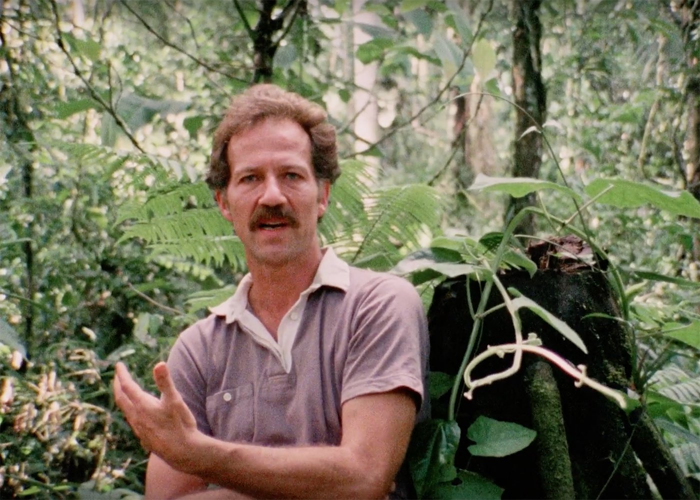 New Trailer for 4K Re-Release of Doc 'Burden of Dreams' on Herzog