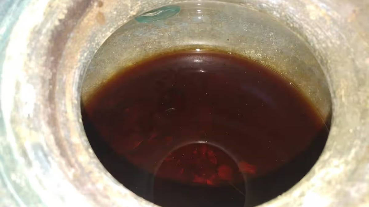 This Murky Liquid Is the Oldest-Known Wine, With a Horrifying Extra Ingredient