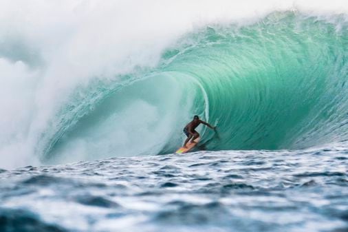 Tamayo Perry, professional surfer, dies after shark attack off Oahu