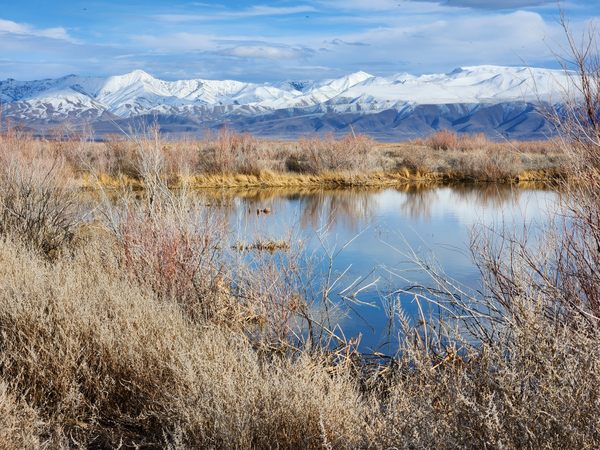 Stillwater National Wildlife Refuge in Fallon, Nevada