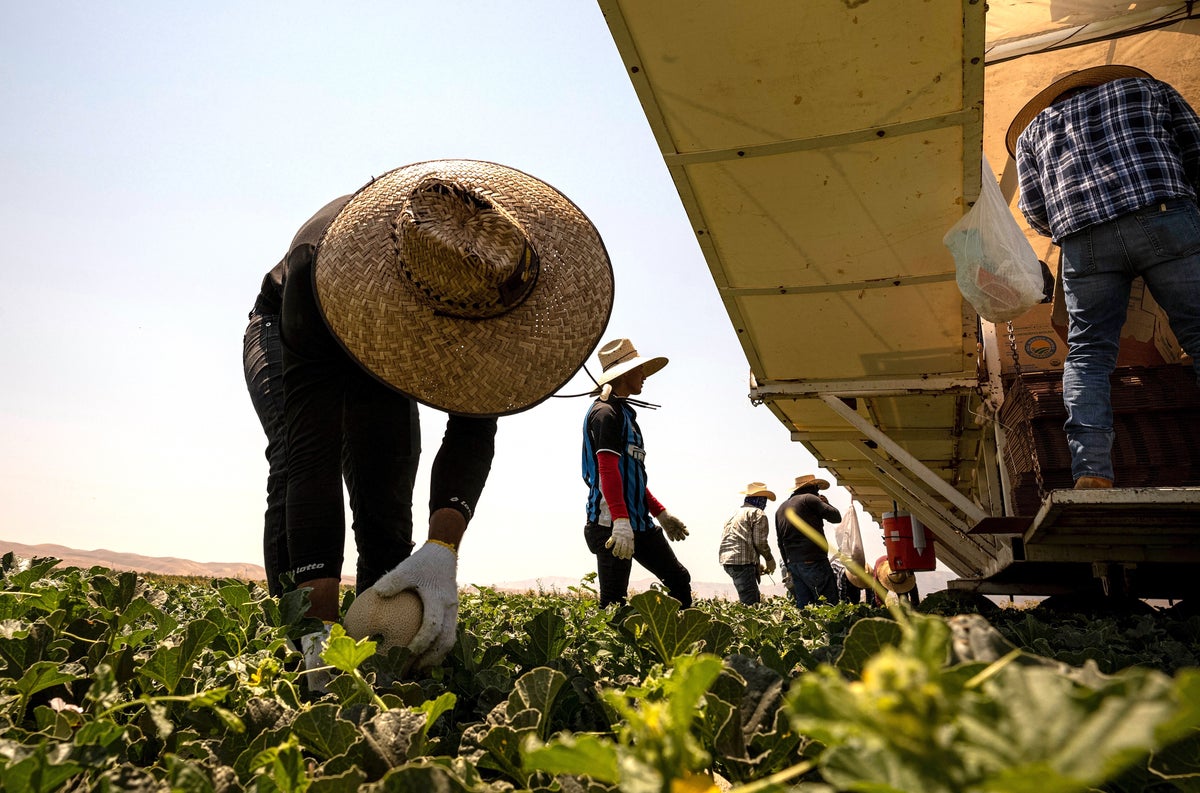 Heat Waves Deserve Disaster Relief from FEMA, Petition Argues