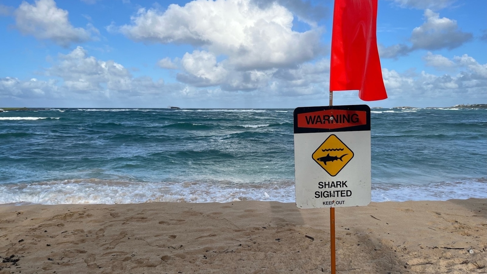 Pipeline surfer killed in shark attack in Hawaii, emergency officials say