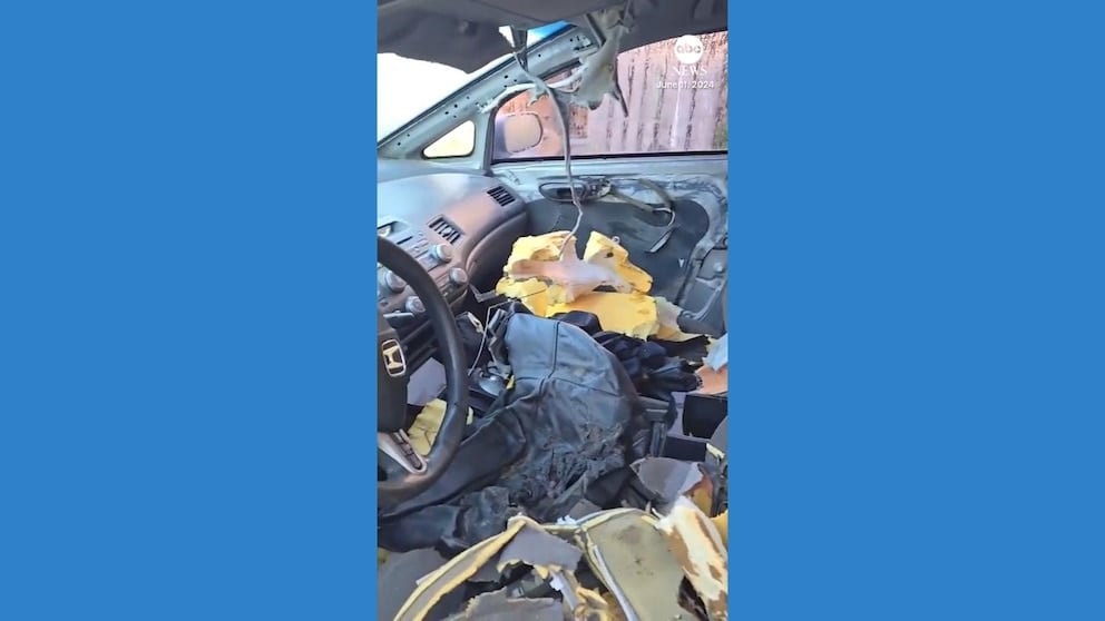 WATCH: Bear destroys car’s interior after breaking into vehicle — and then takes a nap