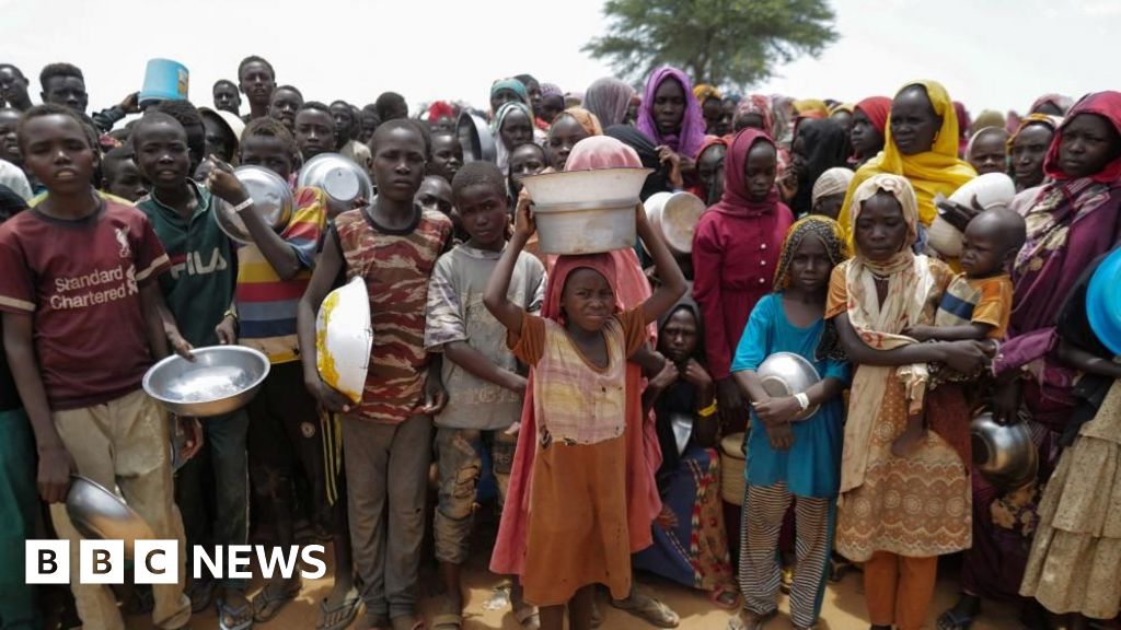 Millions of children going hungry in Sudan - Unicef