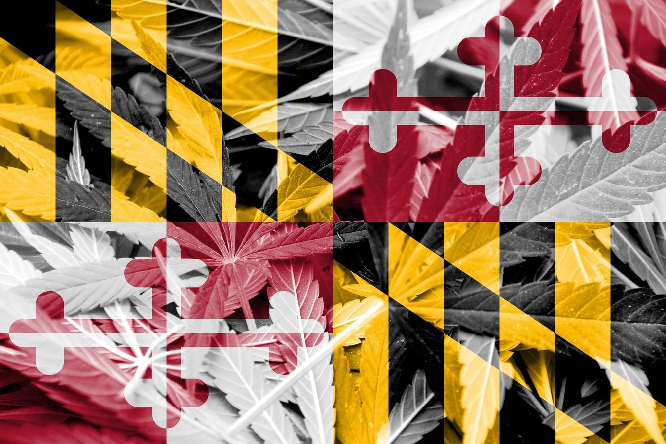 Maryland Marijuana Pardons: Impact On Employers & Job Candidates