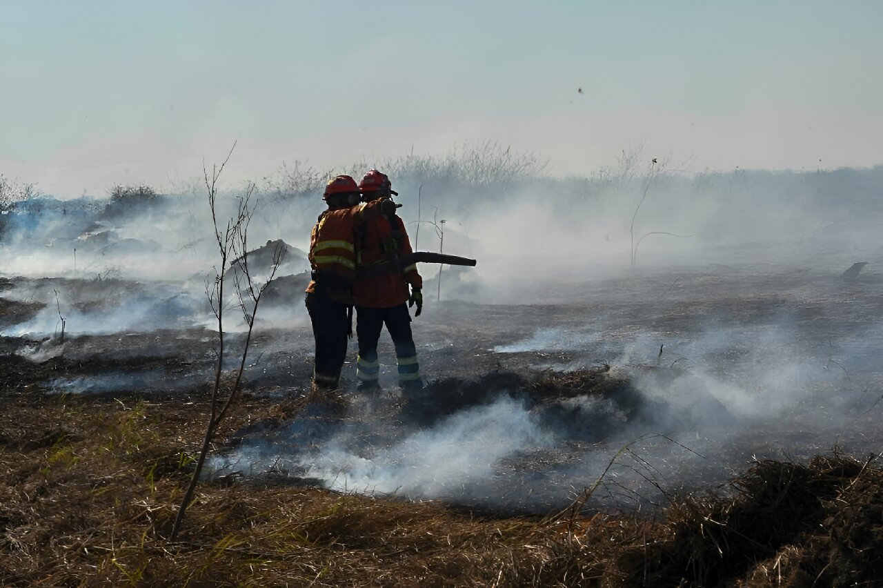 'Out of control fires' in Brazil wetlands spark state of emergency