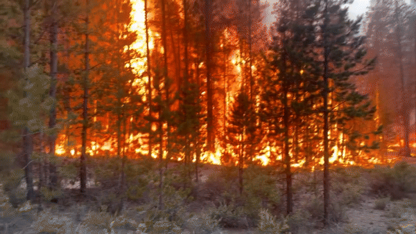 'Go Now': Evacuation Orders as Wildfire Grows in Central Oregon