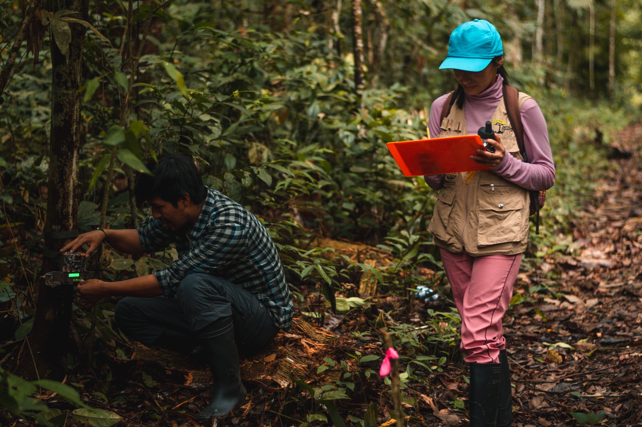 Unlocking biodiversity insights from the tropical Andes