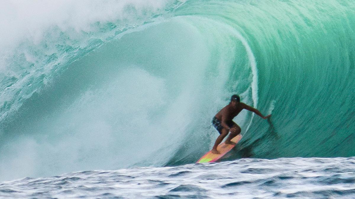 Vom Hai gebissen – Schauspieler Perry stirbt auf Hawaii beim Surfen